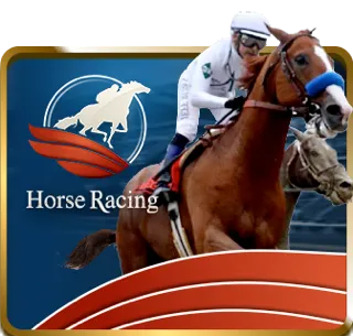 Horse Book