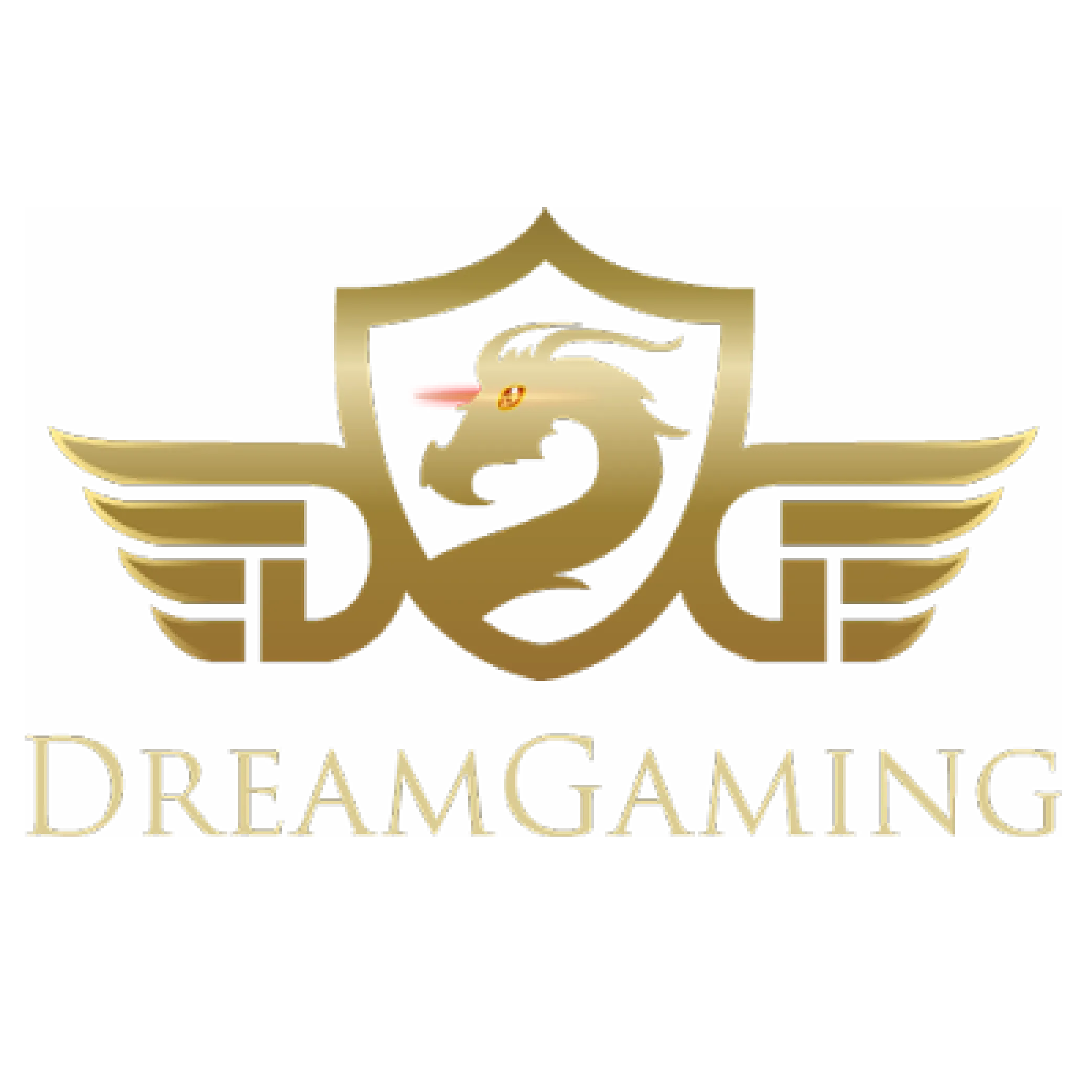 DG Casino